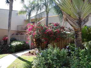 Stroll through a serene garden surrounded by lush greenery and vibrant flowers.