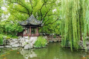 Ảnh chưa phân loại, 3 trong số 19 ảnh, nút