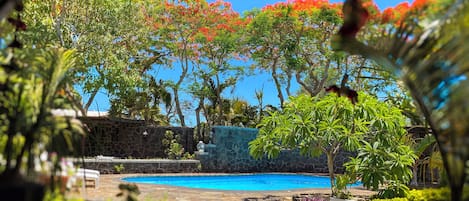 Garden view