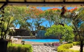 奢華別墅, 泳池景觀, 花園 | 花園景