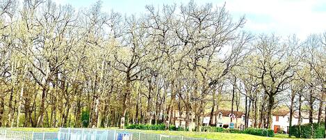 Alberca