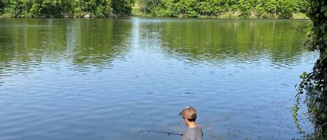 A person fishing by a calm lake surrounded by lush greenery.