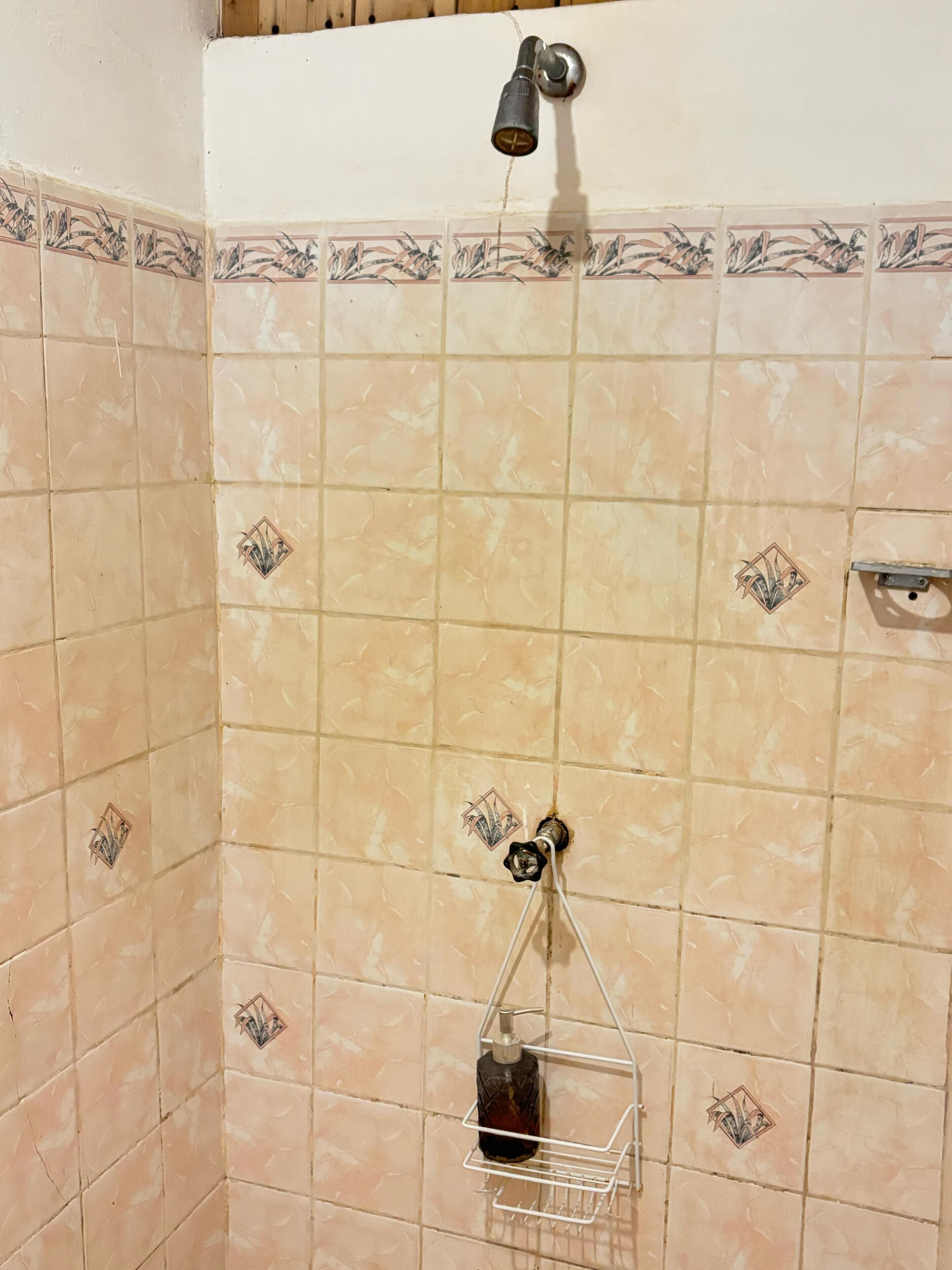 Área de duche revestida a azulejos, com chuveiro manual, dispensador de sabonete e uma pequena prateleira.