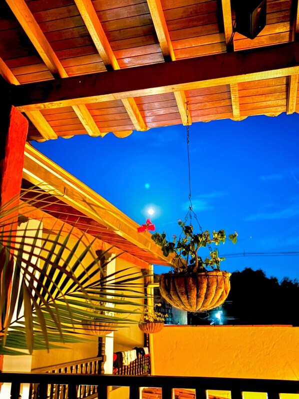 A wooden ceiling with a hanging plant and a fan. - casa morales santa fe  (Santa Fé de Antioquia)