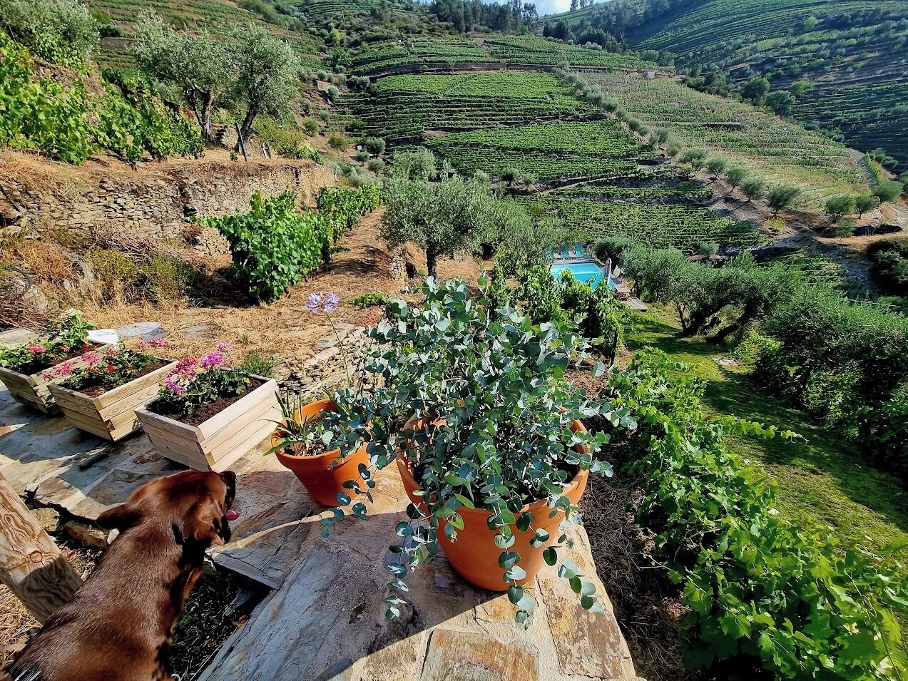 Terrein van de accommodatie