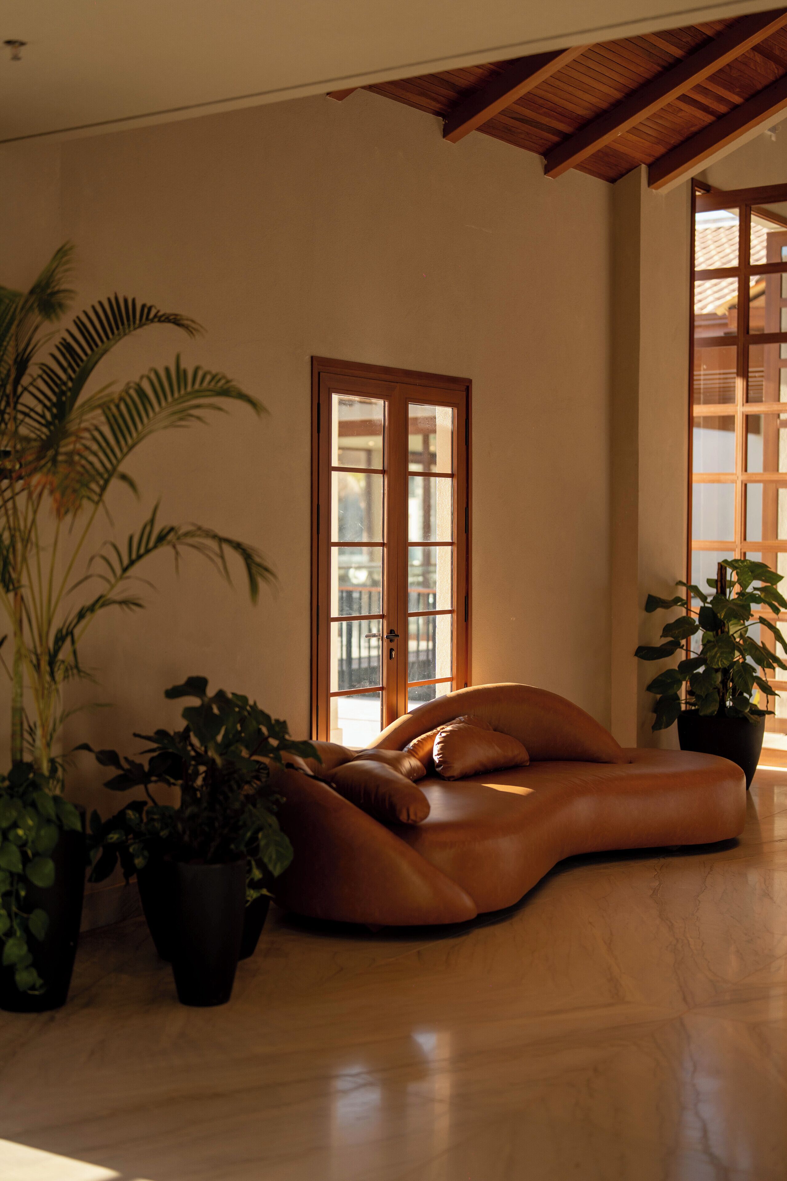 A room with a wooden ceiling, a large window, and a sofa with cushions. There are potted plants on the floor.