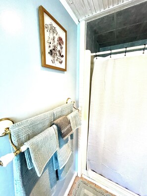 Hair dryer, towels, soap, shampoo