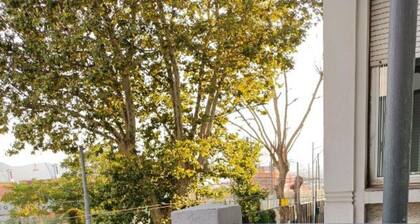 Spacious 4-bedroom apartment in charming La Spezia with WiFi, AC