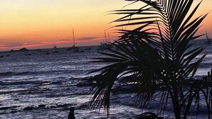 Une scène de plage avec un palmier au premier plan et des bateaux à l’arrière-plan, au coucher du soleil.