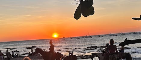 沙滩椅、沙滩毛巾