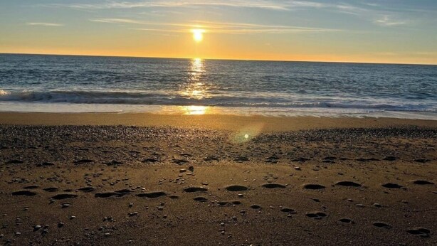 A beach with footprints leading to the water, a clear sky, and the sun reflecting on the sea. - Magic Living Home Apartment on the crystal clear sea of Calabria (Campora San Giovanni)