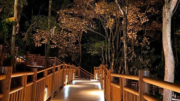 Une allée en bois, bordée de garde-corps, entourée d’arbres et éclairée par un éclairage d’ambiance.