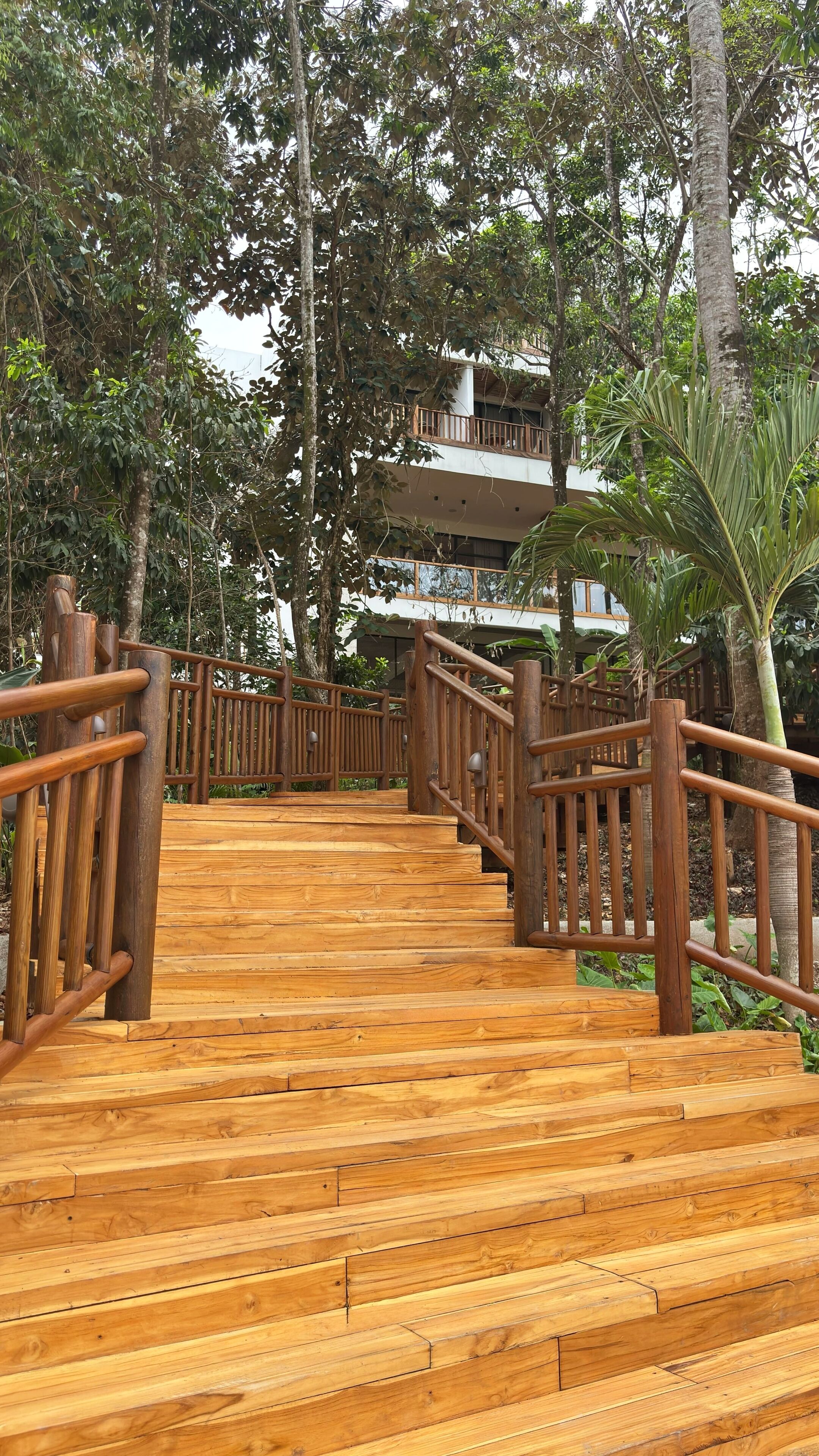 A wooden staircase with a railing, surrounded by trees and a building in the background.