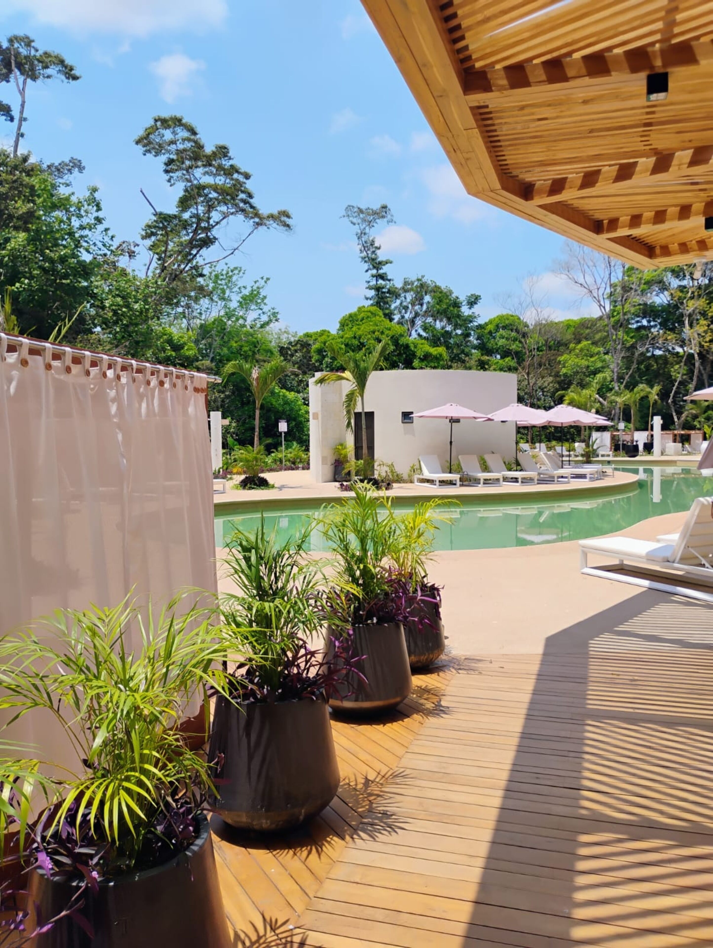 A poolside area with lounge chairs, potted plants, and a wooden deck.