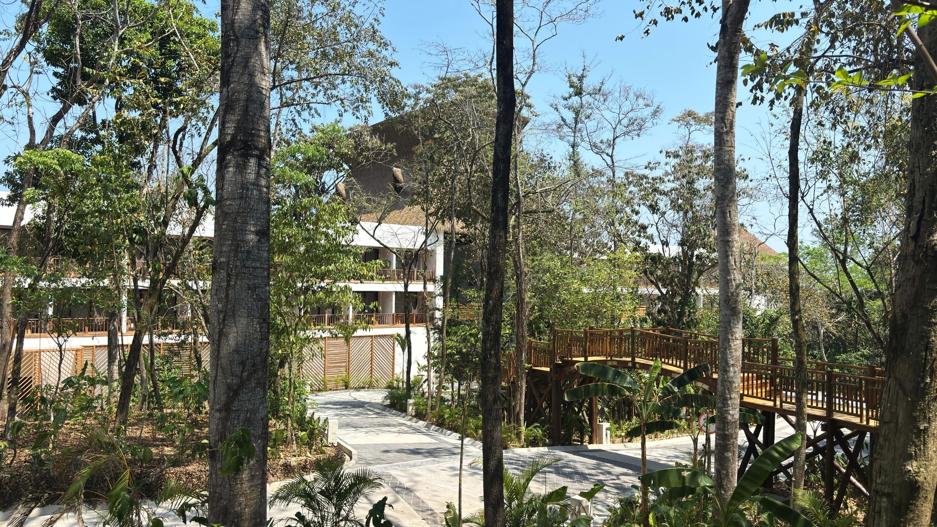 Un camino que lleva a un edificio rodeado de árboles.