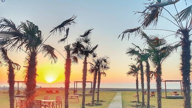 A wooden pathway leading to a beach area with palm trees and outdoor seating.