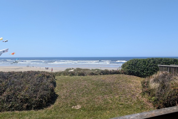 kite festival at Oceans Edge