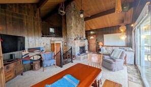 Smart TV, fireplace, books