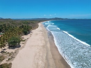 A beach with a clear view of the ocean and a line of palm trees along the shore. - Beachfront Villa, 3BR and 3.5BA, AC, great surfing! Free Parking (Guanacaste Province)