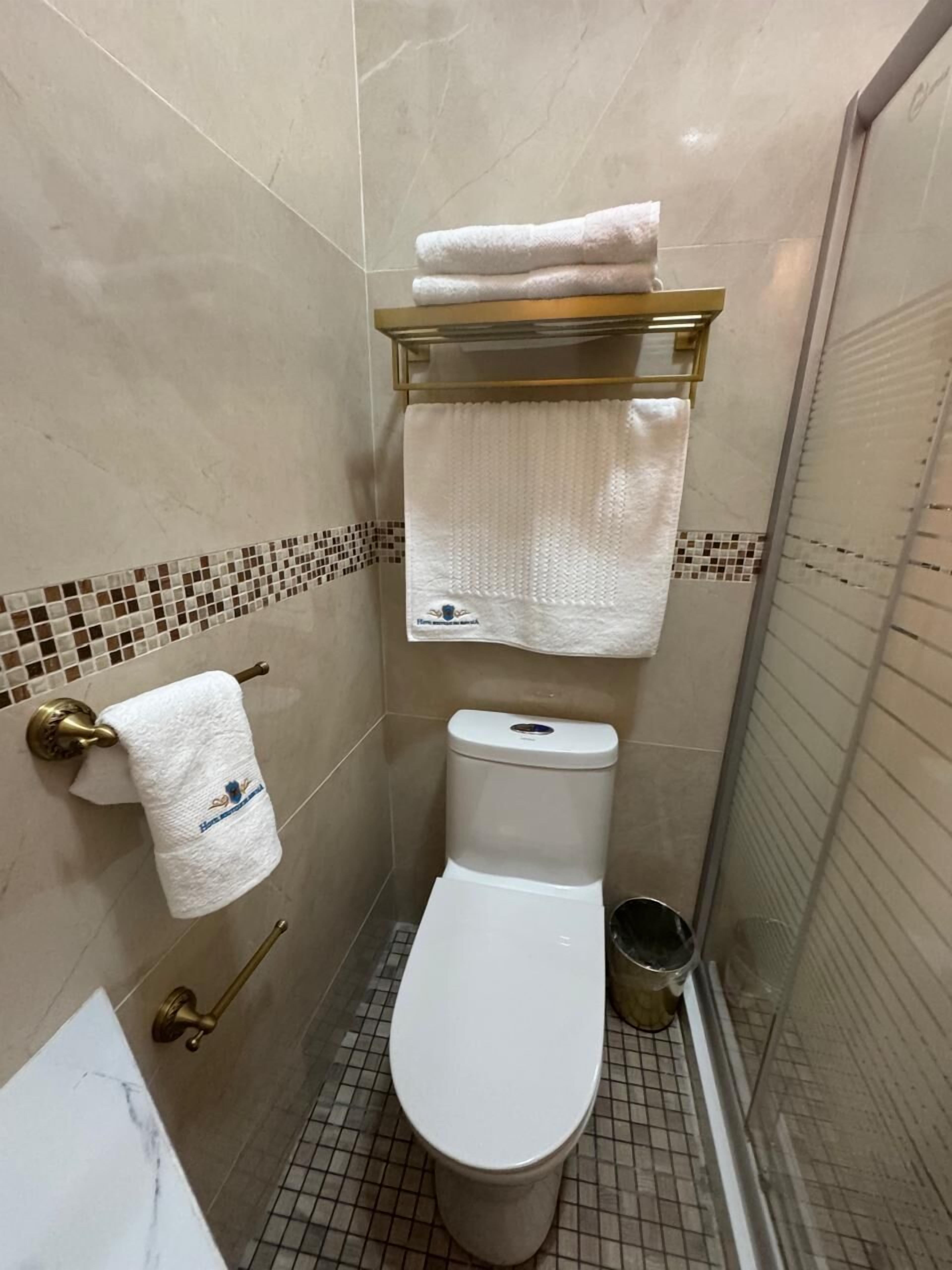 Un baño pequeño con azulejos, un inodoro, un perchero para toallas y una zona de ducha.