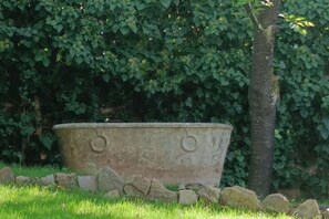 Property grounds - Pretty house in the center with private garden (Firenze)