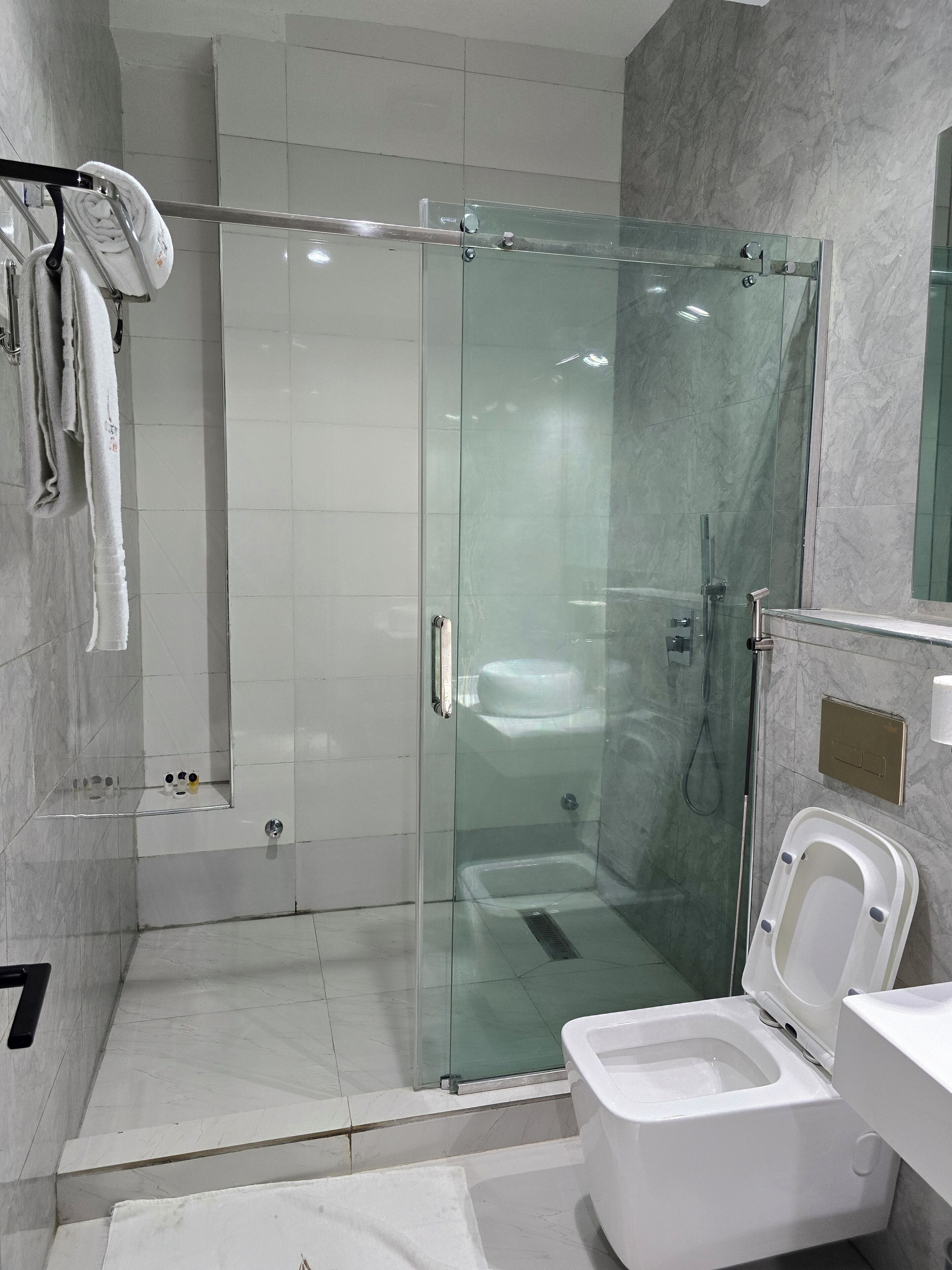 A modern bathroom with a glass-enclosed shower, a toilet, and a sink.