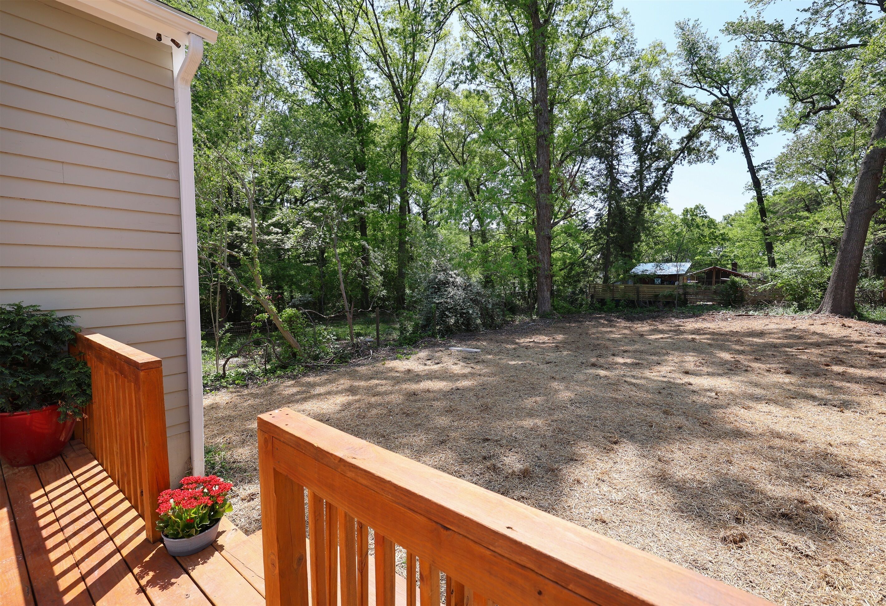 A wooden deck with a potted plant and a small shed in a wooded area.