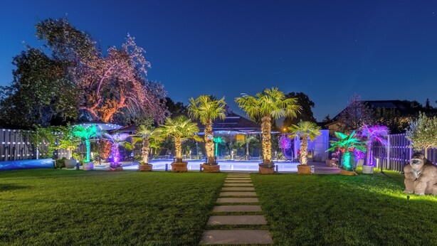 A well-lit garden with a pathway leading to a building, surrounded by trees and palm plants. - Villa Tropicana (Teltow)