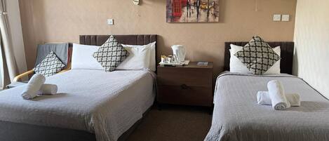 Økonomi-tomannsrom, hageutsikt | Wi-fi (inkludert)