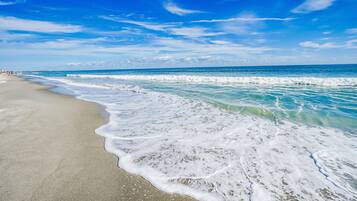 Playa en los alrededores