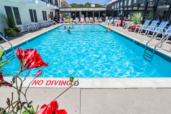 Enjoy a refreshing swim in the outdoor pool, surrounded by vibrant flowers and loungers, perfect for relaxing under the sun.