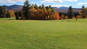 Un terrain de golf avec un drapeau, des arbres et des montagnes en arrière-plan.