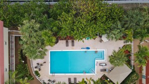 Vista aérea de una piscina rodeada de palmeras y sillones de descanso.