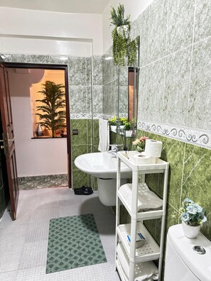 Secador de pelo, toallas y papel higiénico