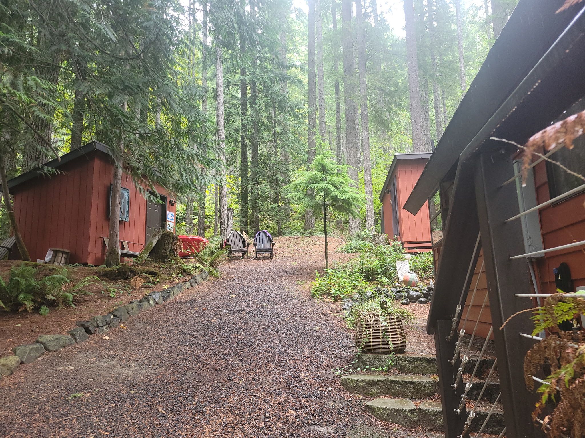 A forested area with two red cabins and a gravel path leading to them.