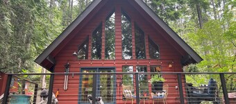 Cozy cabin at Lake Cushman in Hoodsport, WA with AC, Wi-Fi, kayak, beach, hottub