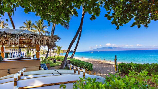 A beachside area with a thatched-roof structure, a surfboard rental service, and a view of the ocean.