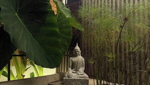 En Buddha-staty i en betongplanterare, omgiven av stora, gröna blad och högt gräs, med en modern byggnad i bakgrunden.