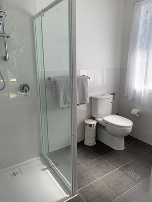 Hair dryer, towels, soap, toilet paper