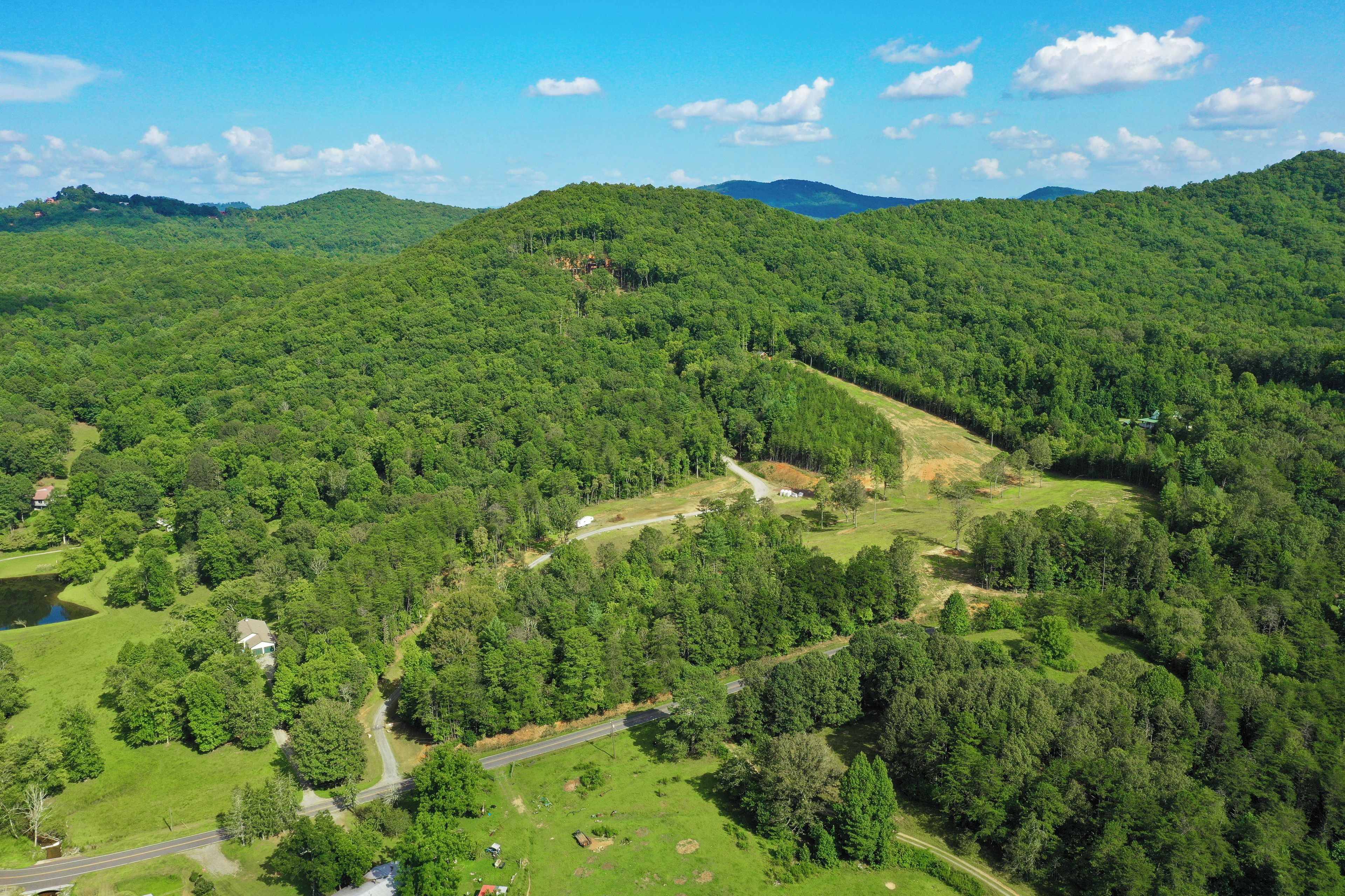 A forested landscape with a winding road and a small building.