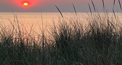 5 Minutes to Southampton's gorgeous beach! Family and pet friendly cottage.