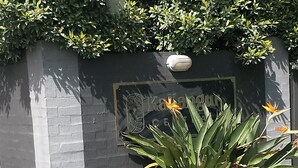 A modern building facade with a dark-colored wall, a security camera mounted above a framed picture, and a large plant with broad leaves and orange flowers in front.