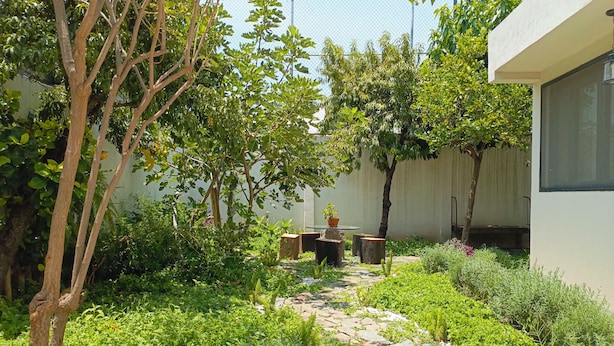 Ein Garten mit einem Kiesweg, einem Tisch und Stühlen, umgeben von verschiedenen Pflanzen und Bäumen.