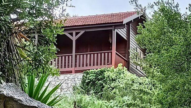 A garden with a rock, various plants, and a building with a red roof.