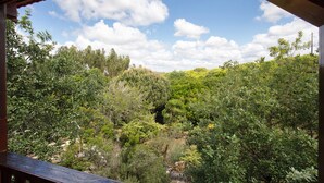A view from a covered balcony overlooking a dense forest with a clear sky.