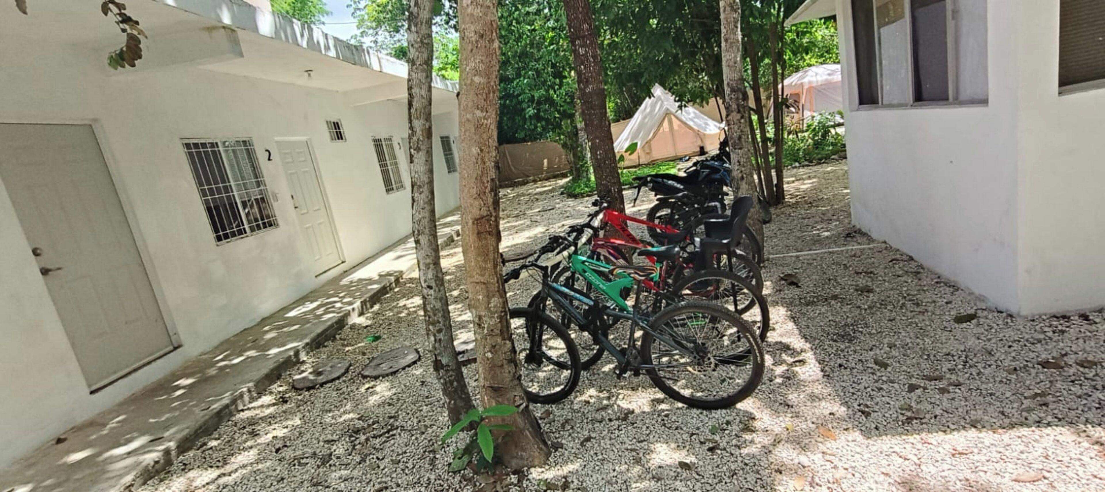 A courtyard with bicycles parked near trees, a white building with barred windows, and a tent in the background.