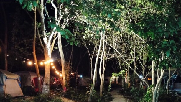 A campsite with tents and trees, a gravel path, and string lights. - Bacalar inn (Bacalar)