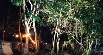 Bacalar inn