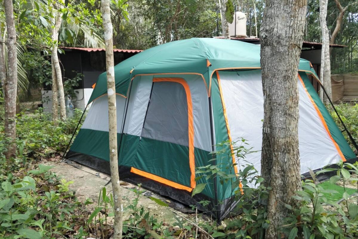 A tent in a forested area with trees and vegetation around.