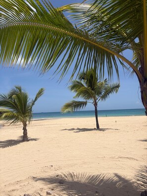 A beach with palm trees and a clear sky. - Roomy 2BR Whole-Home Apartment – Pool & 5-Min Walk to Beach (Las Terrenas)